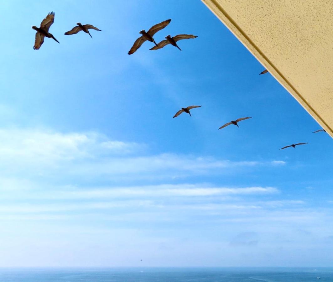 Just Updated - Beachfront Ocean View, 19Th Floor デスティン エクステリア 写真